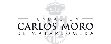 Logo Fundación Carlos Moro